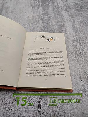 Солнечный дождь