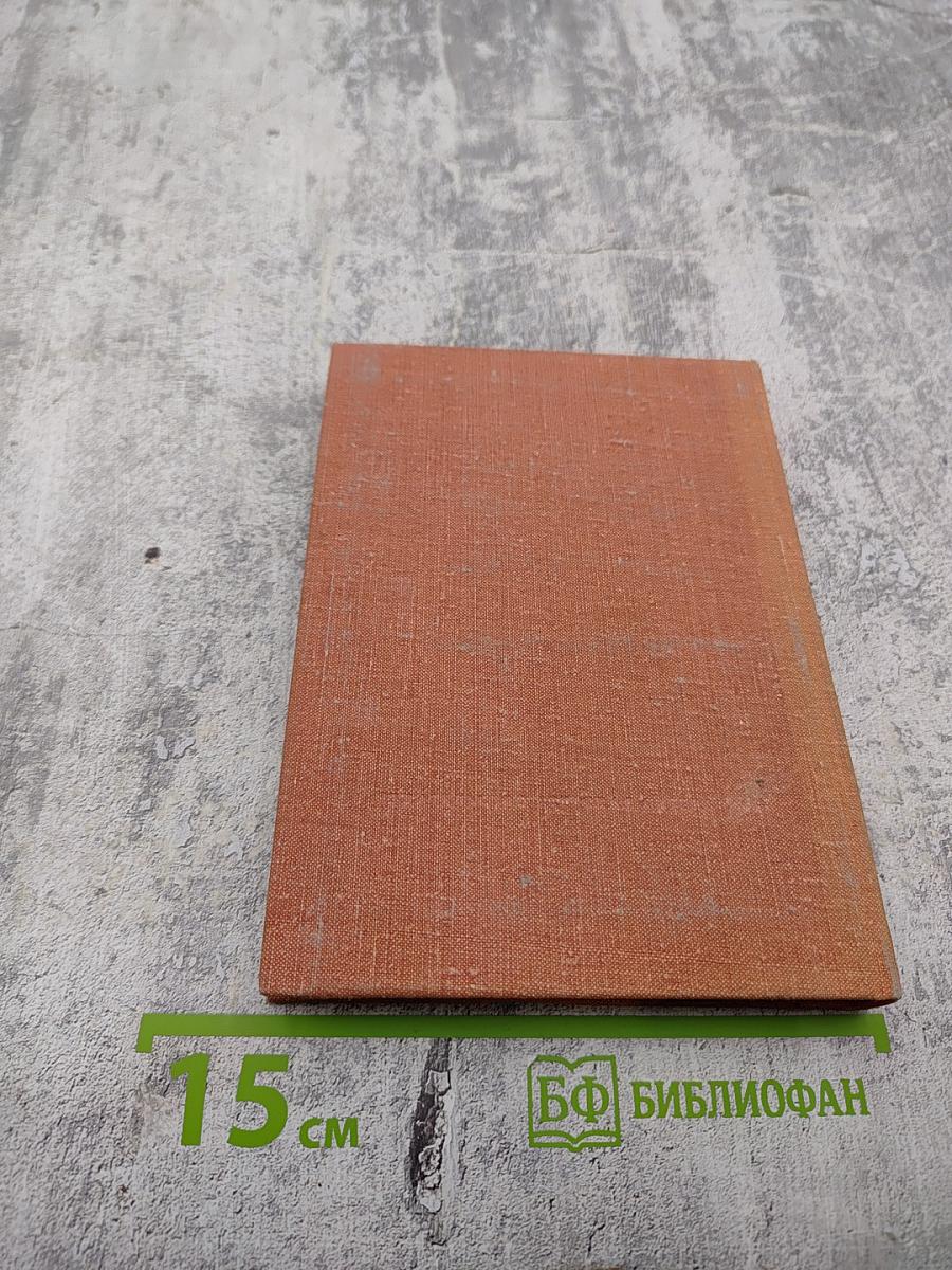 Солнечный дождь