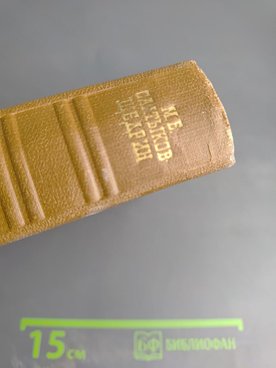 Собрание сочинений Том пятый. Критика и публицистика 1850-1864