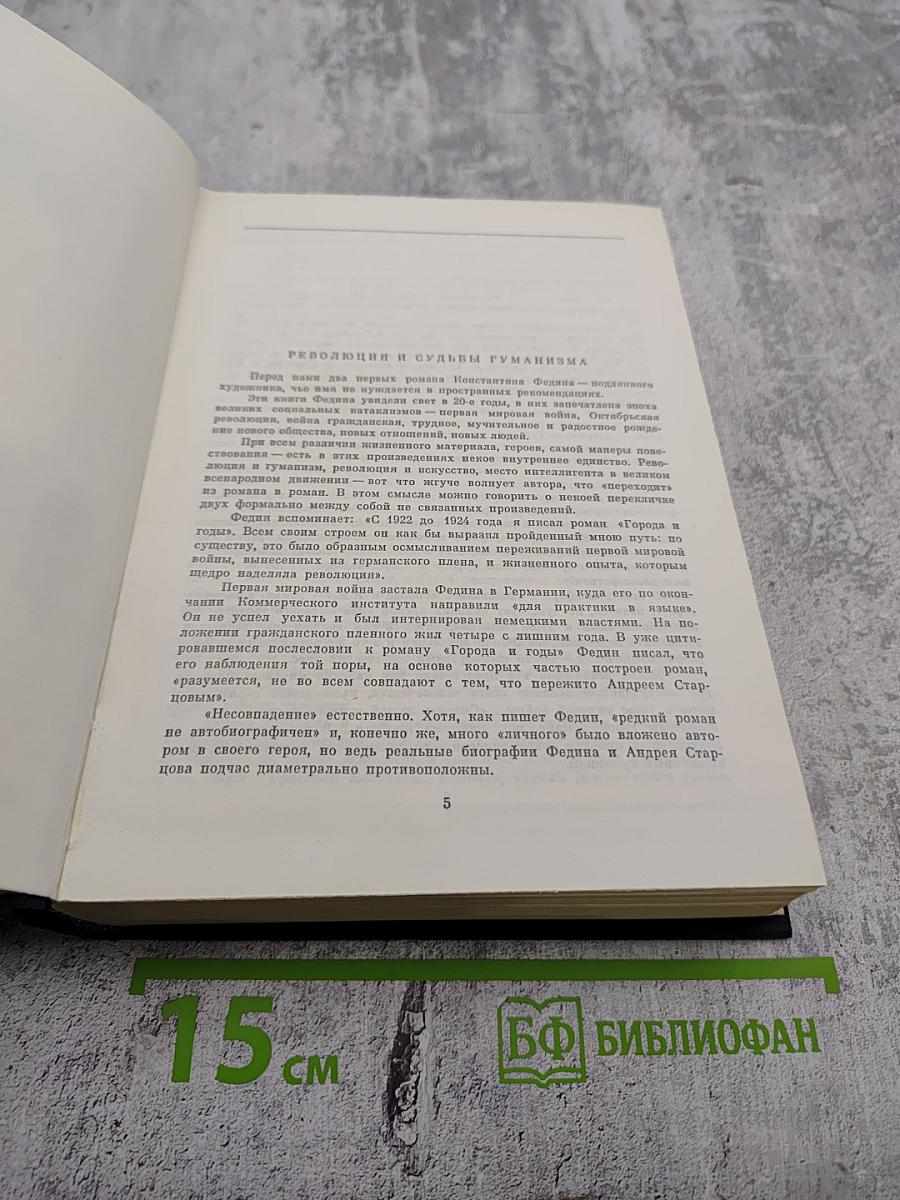 Города и годы. Братья