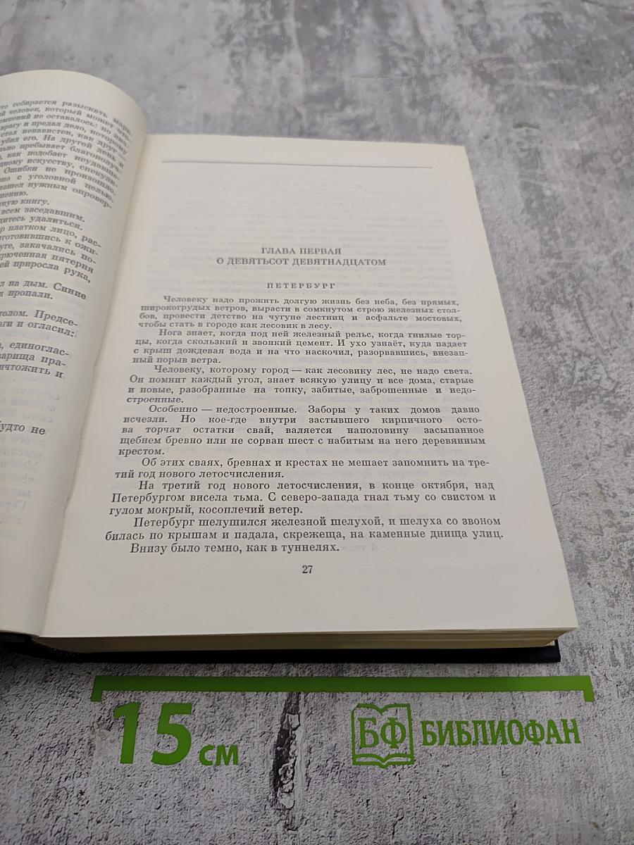 Города и годы. Братья