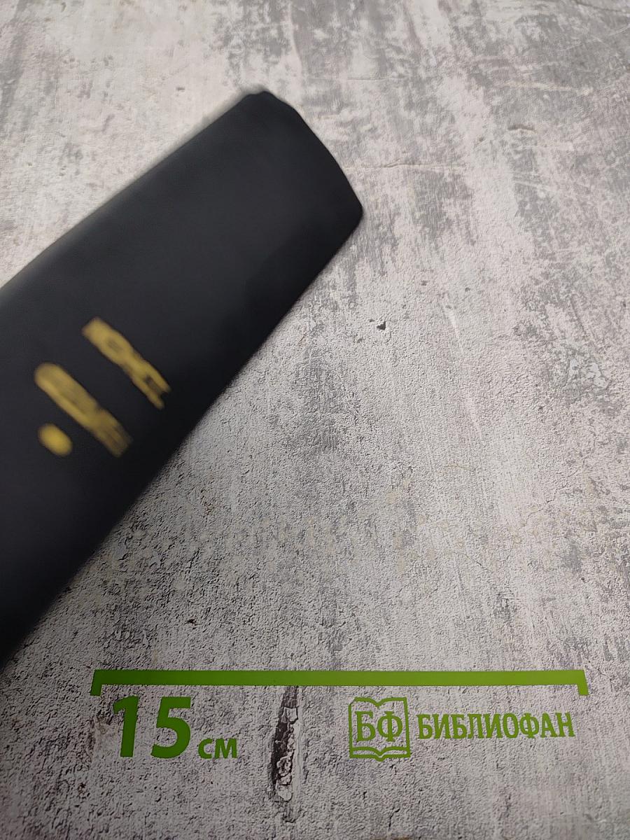 Города и годы. Братья