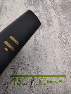 Города и годы. Братья