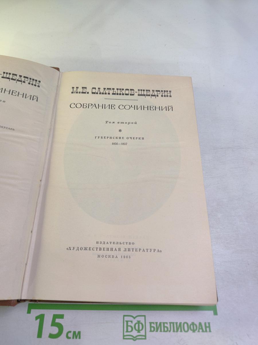 Собрание сочинений. Том 2. Губернские очерки