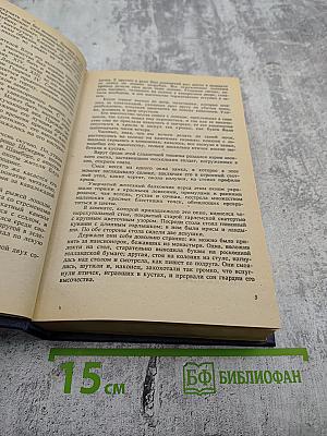 Виконт де Бражелон или Десять лет спустя. Части 1, 2