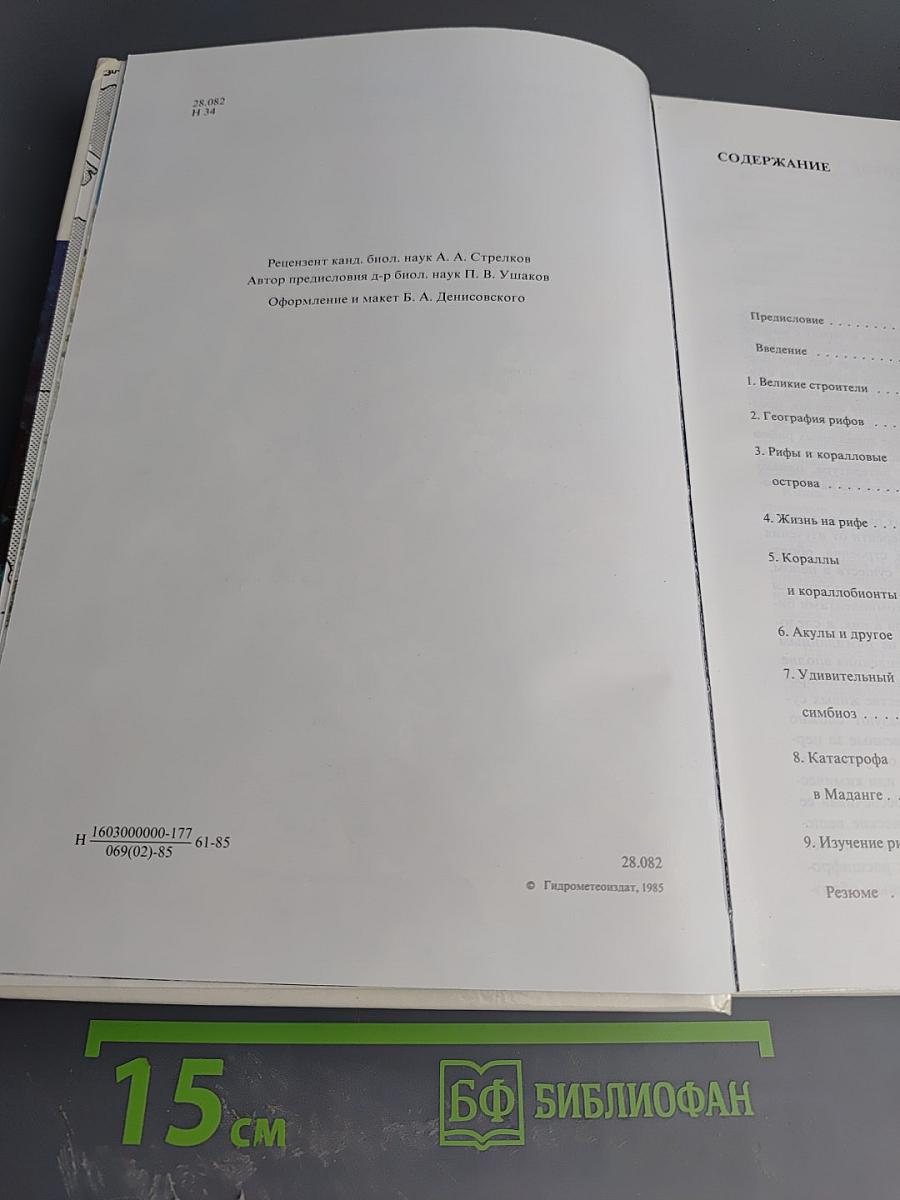 Мир кораллов