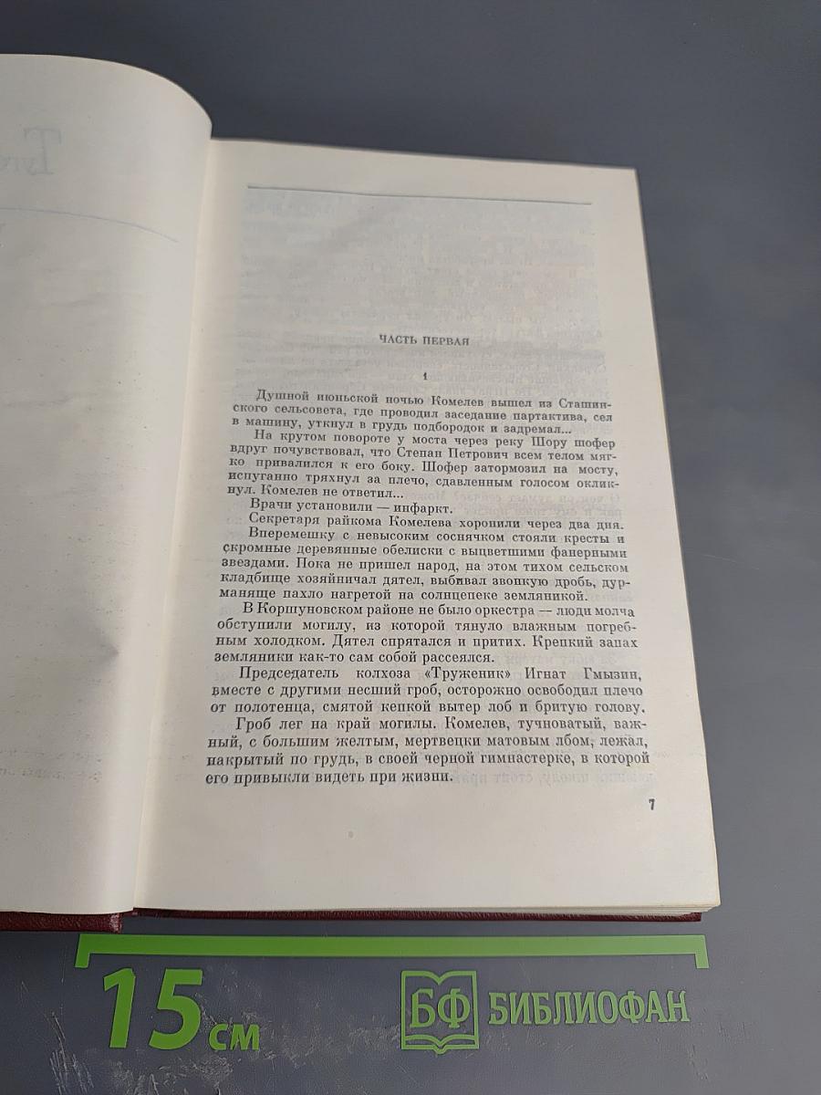 Собрание сочинений. Том 2. Романы