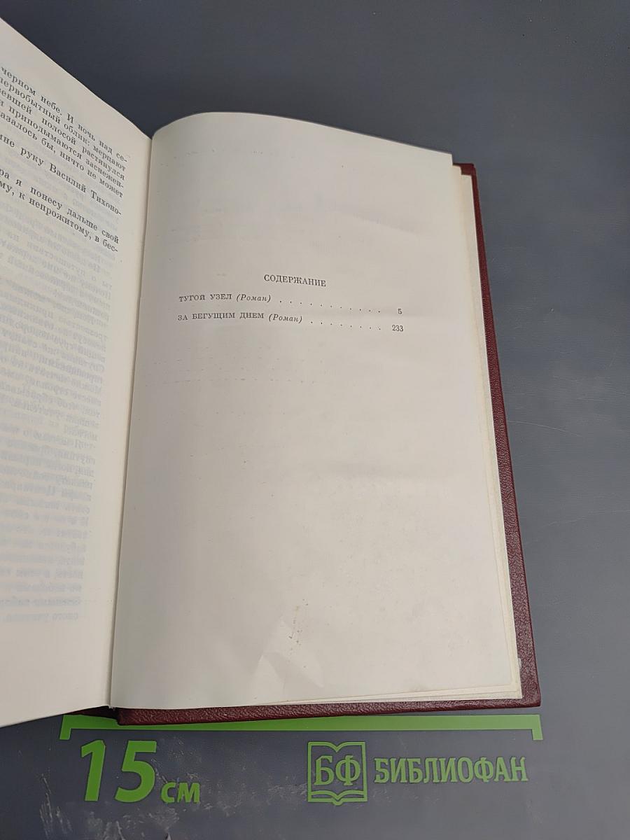 Собрание сочинений. Том 2. Романы