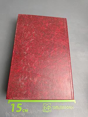 Победа. Том второй