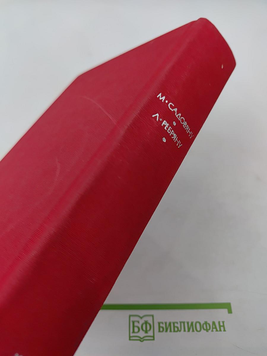 Рассказы. Митря Кокор. Восстание