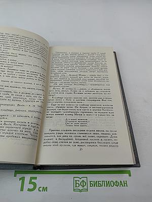 Собрание сочинений в 16 томах. Том 9: Повести 1915-1923