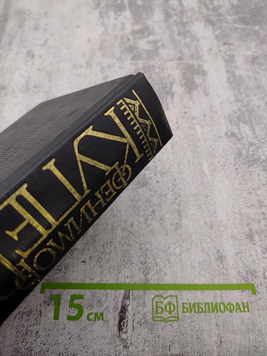 Мерседес из Кастилии, или Путешествие в Катай. Красный корсар