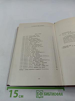 Победа. Политический роман в трех книгах. Том второй