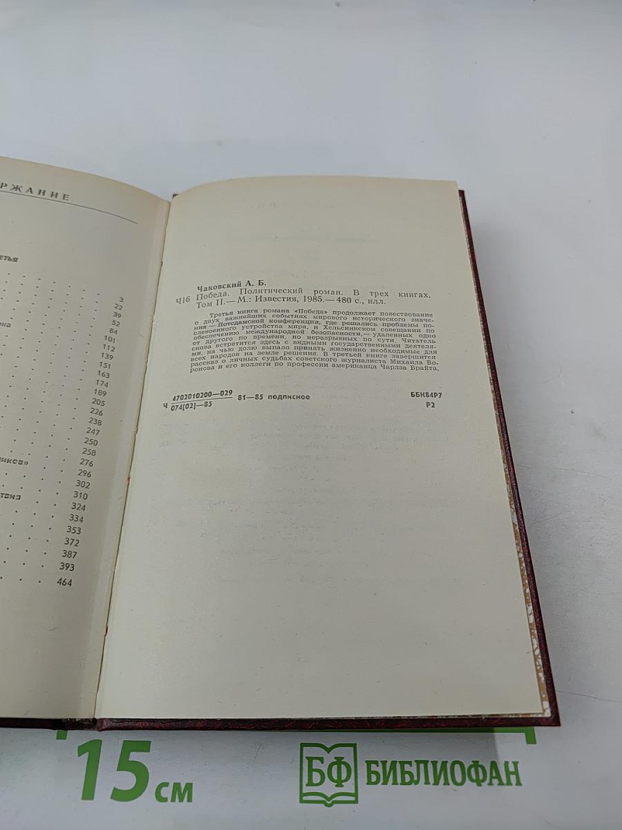 Победа. Политический роман в трех книгах. Том второй