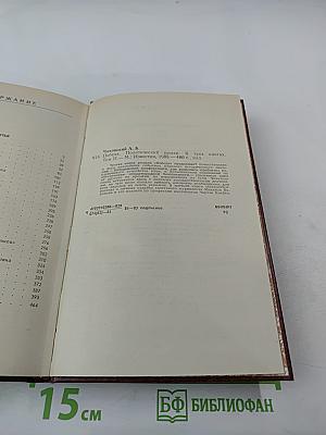 Победа. Политический роман в трех книгах. Том второй