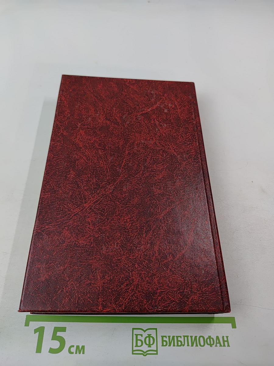 Победа. Политический роман в трех книгах. Том второй