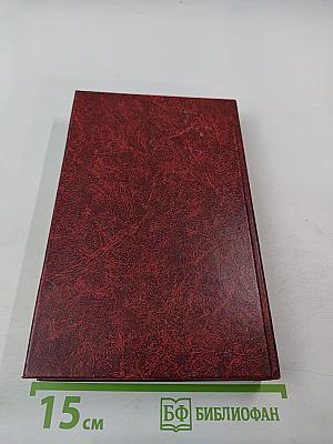 Победа. Политический роман в трех книгах. Том второй