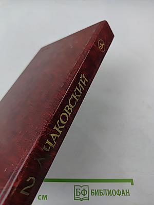 Победа. Политический роман в трех книгах. Том второй