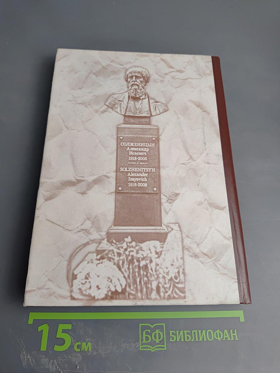 Один год и один день Александра Исаевича