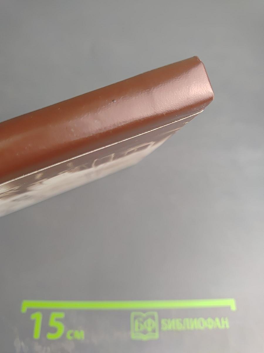 Один год и один день Александра Исаевича