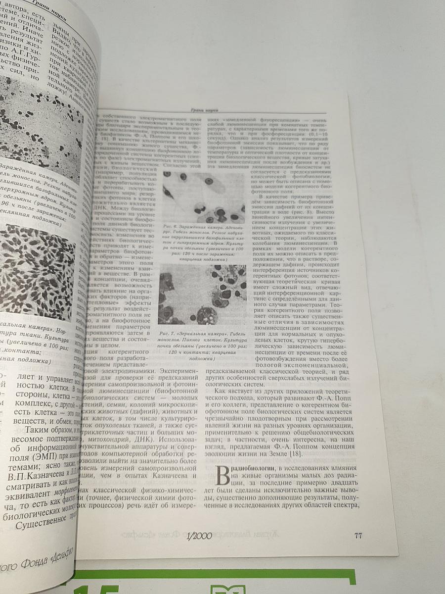 Дельфис № 1 (21) - 2000