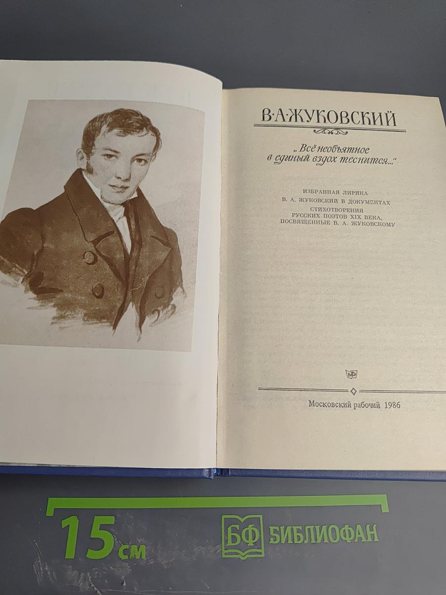 В. А. Жуковский. Избранная лирика. «Всё необъятное в единый вдох теснится...»