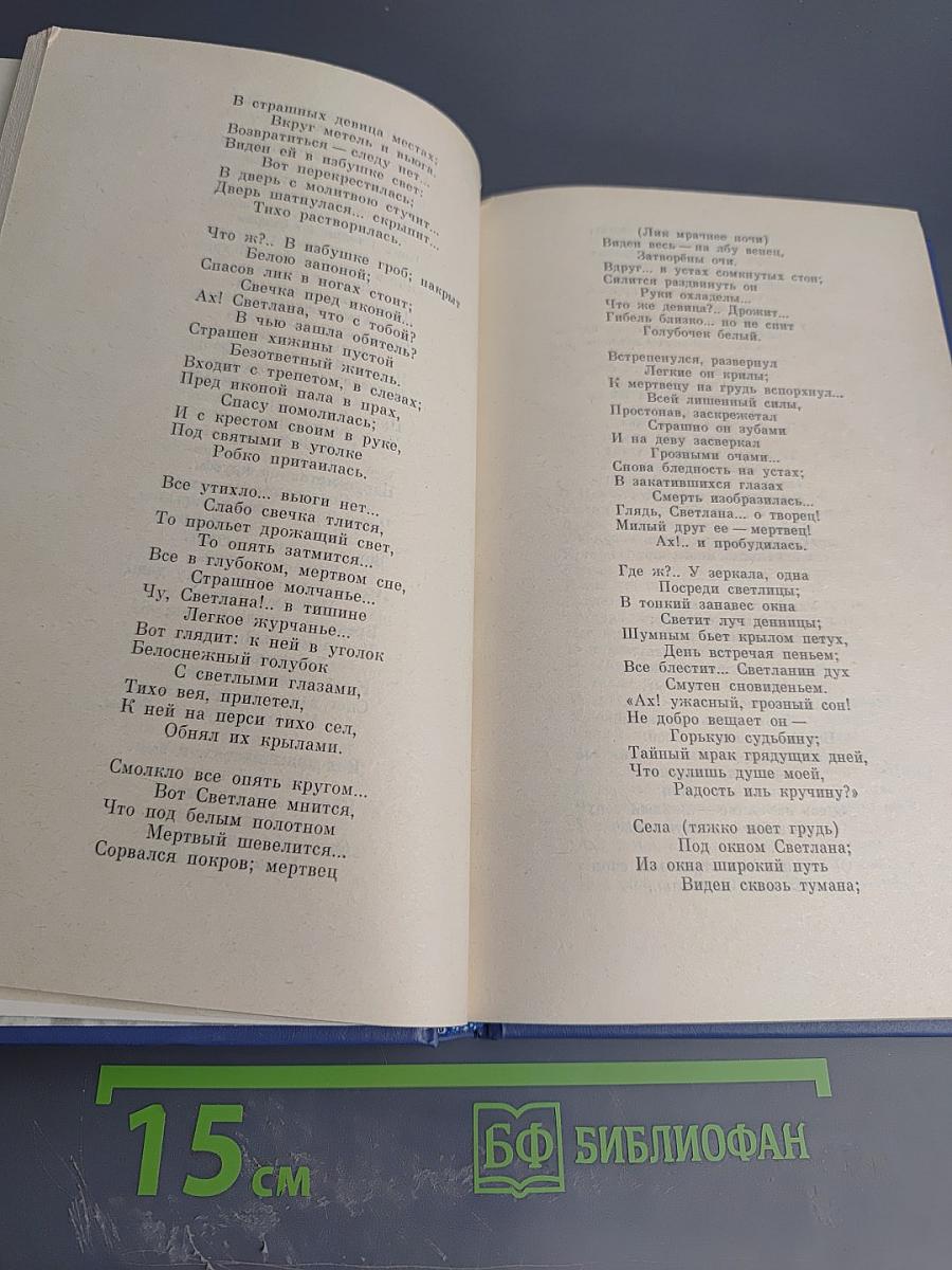 В. А. Жуковский. Избранная лирика. «Всё необъятное в единый вдох теснится...»