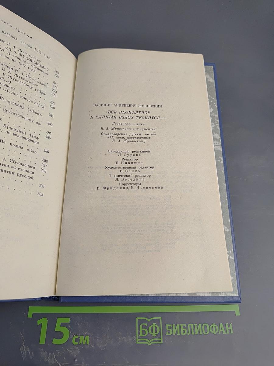 В. А. Жуковский. Избранная лирика. «Всё необъятное в единый вдох теснится...»