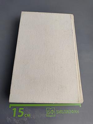 Ожерелье Королевы