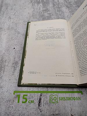 Память. Роман-эссе. Книга вторая