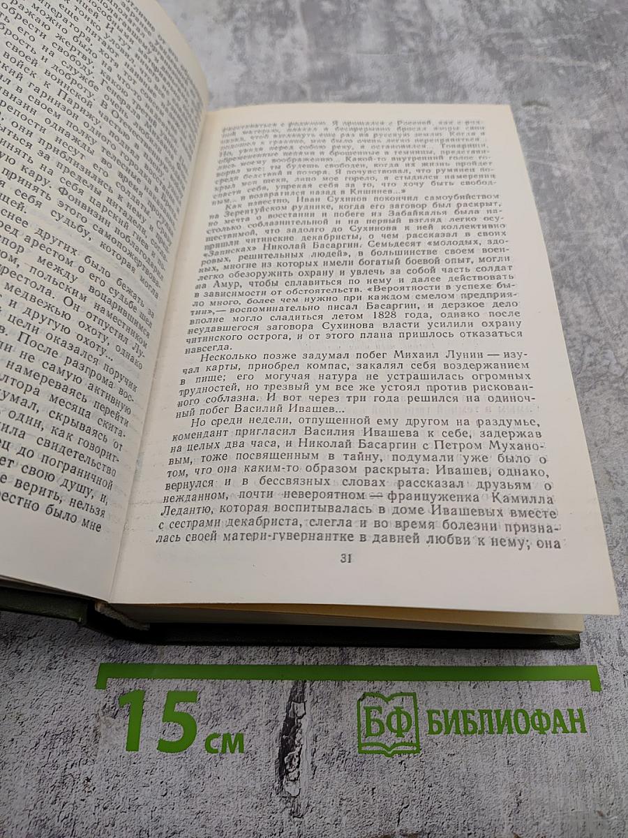 Память. Роман-эссе. Книга вторая