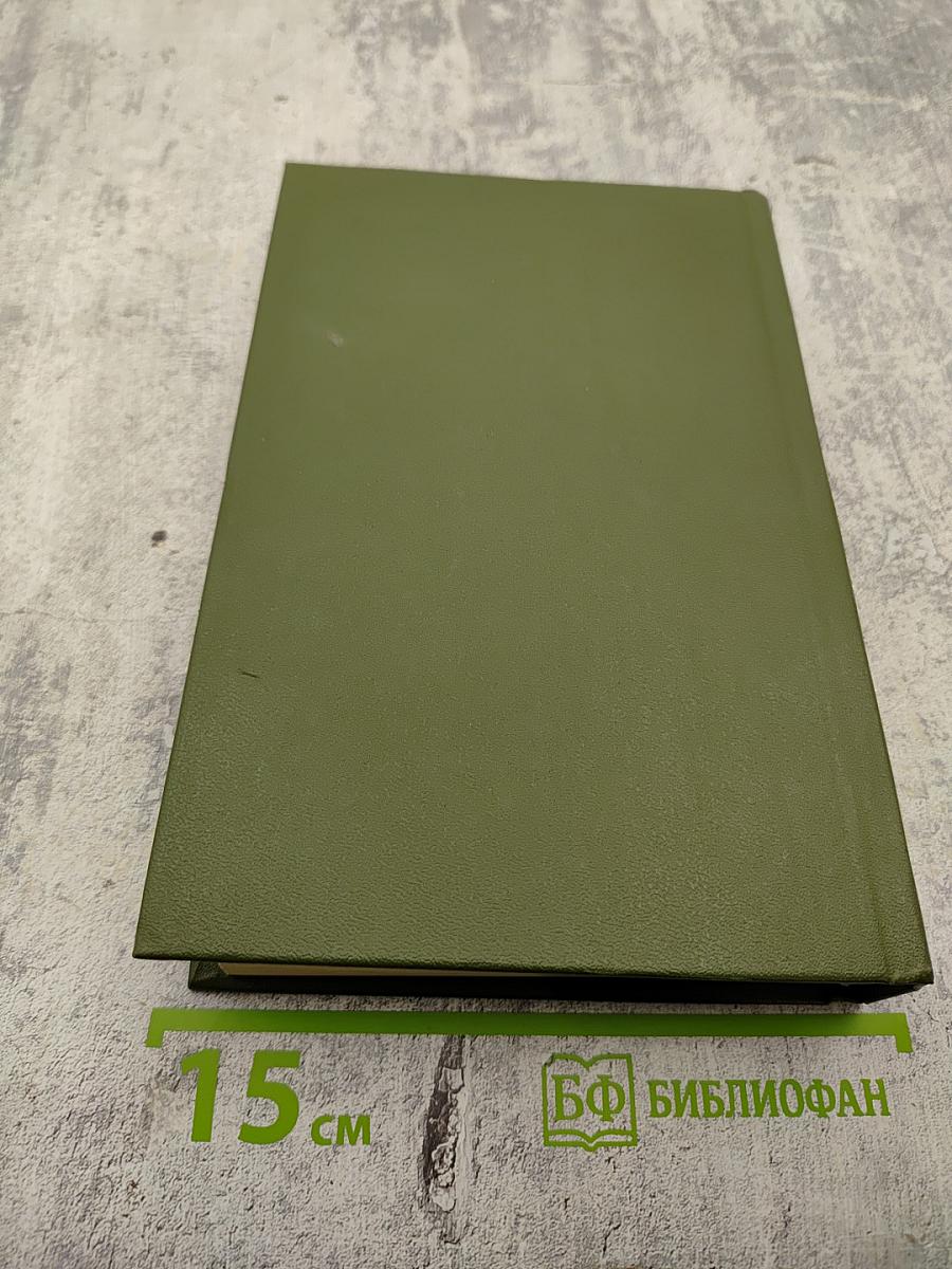 Память. Роман-эссе. Книга вторая