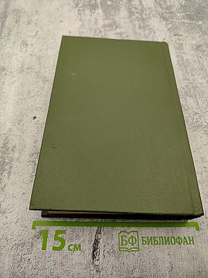 Память. Роман-эссе. Книга вторая