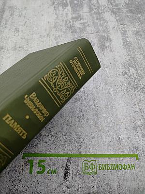 Память. Роман-эссе. Книга вторая