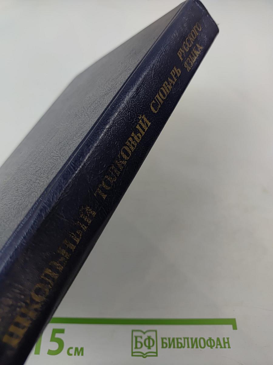 Школьный толковый словарь русского языка