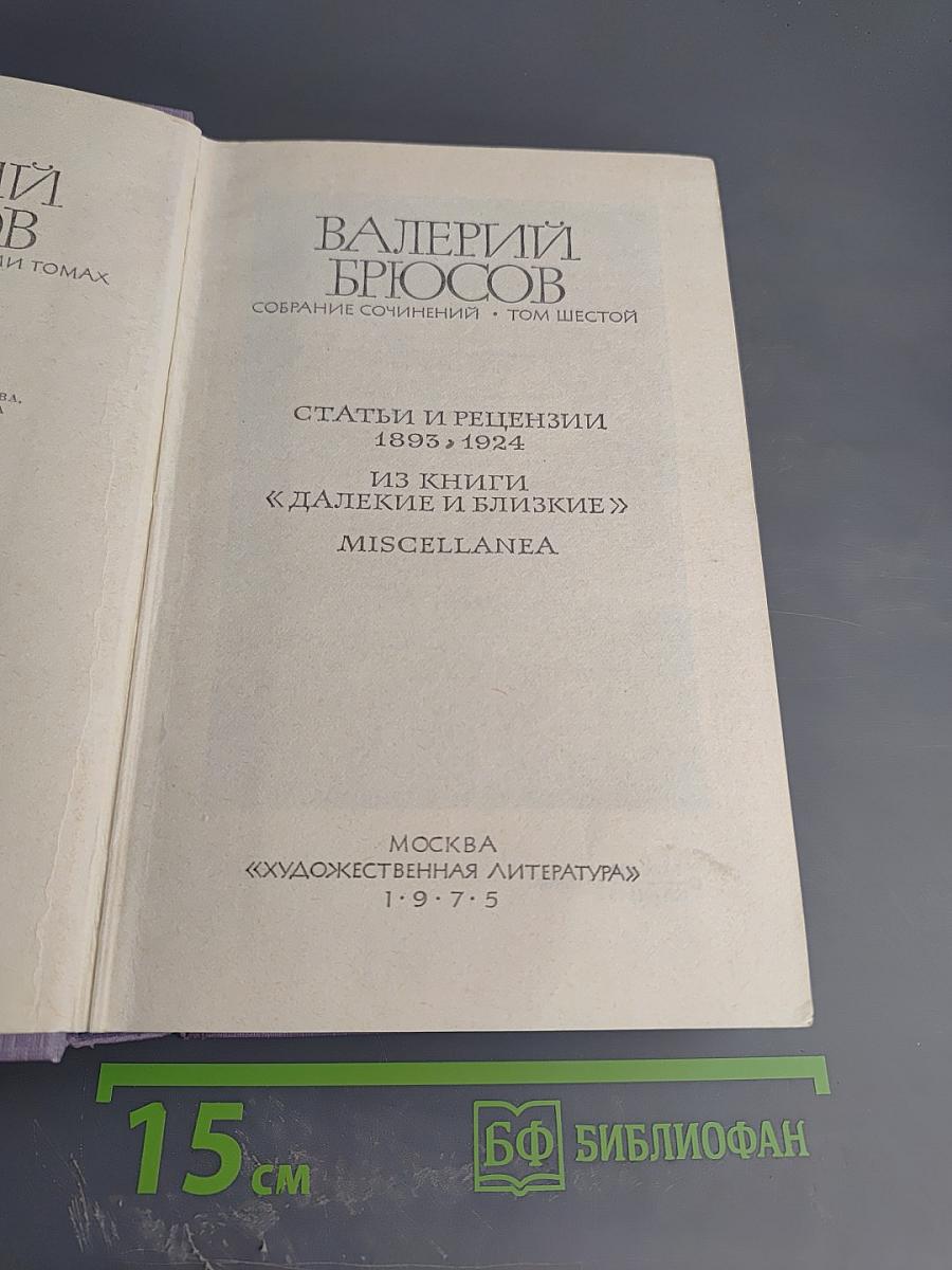 Собрание сочинений. Том шестой: Статьи и рецензии 1893-1924