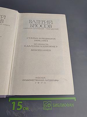 Собрание сочинений. Том шестой: Статьи и рецензии 1893-1924