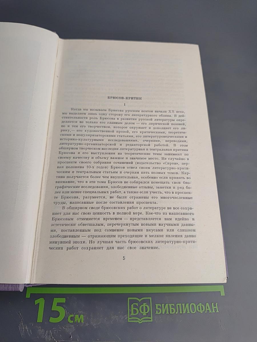 Собрание сочинений. Том шестой: Статьи и рецензии 1893-1924