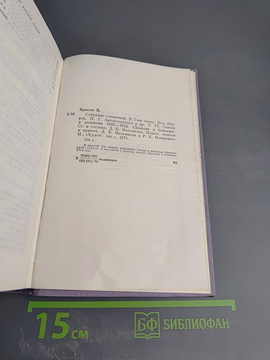 Собрание сочинений. Том шестой: Статьи и рецензии 1893-1924