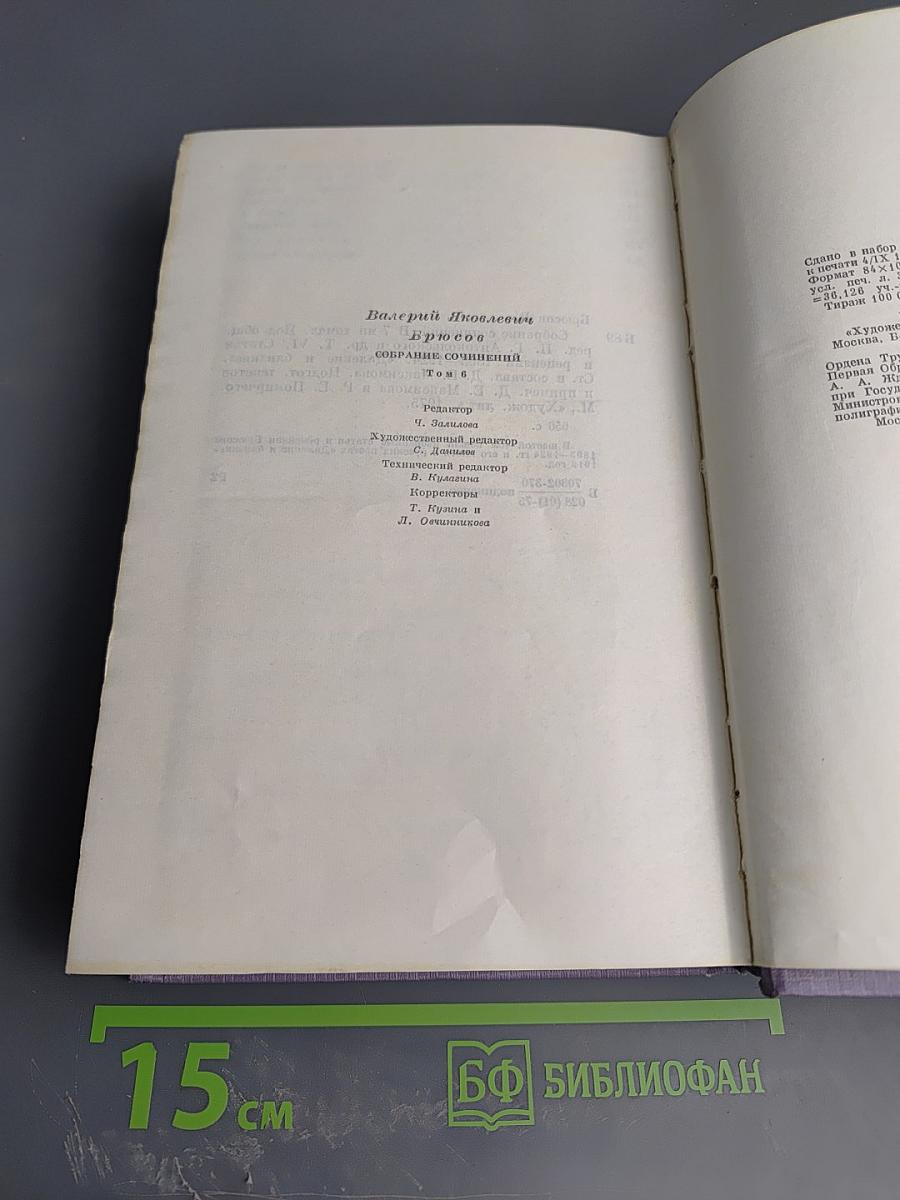 Собрание сочинений. Том шестой: Статьи и рецензии 1893-1924