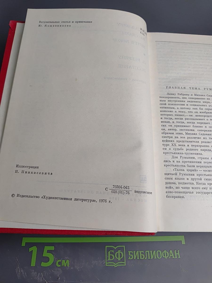 Рассказы Митря Кокор. Восстание