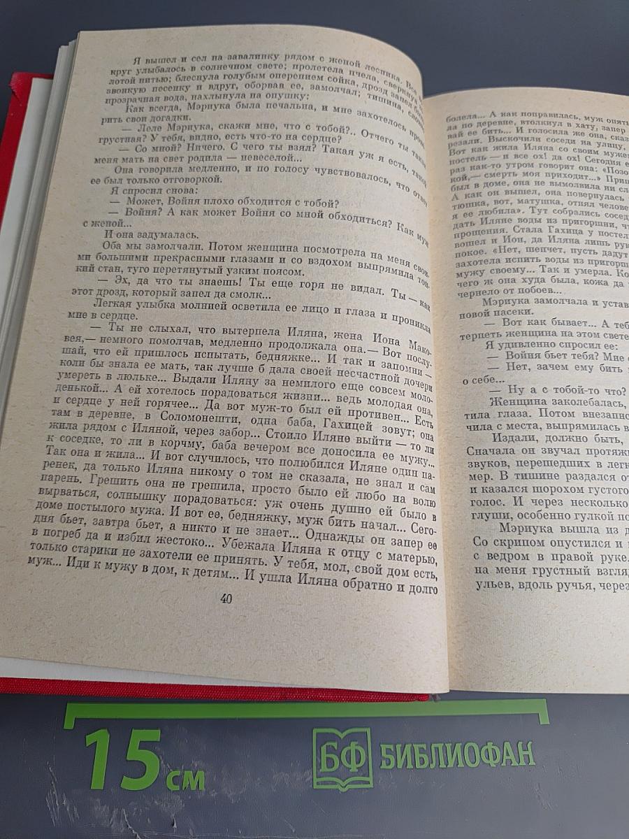 Рассказы Митря Кокор. Восстание