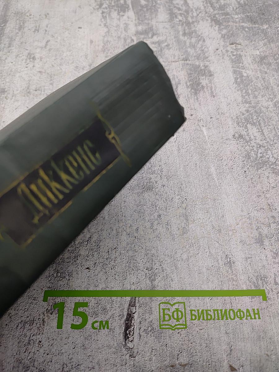 Собрание сочинений. Том восьмой. Барнеби Радж