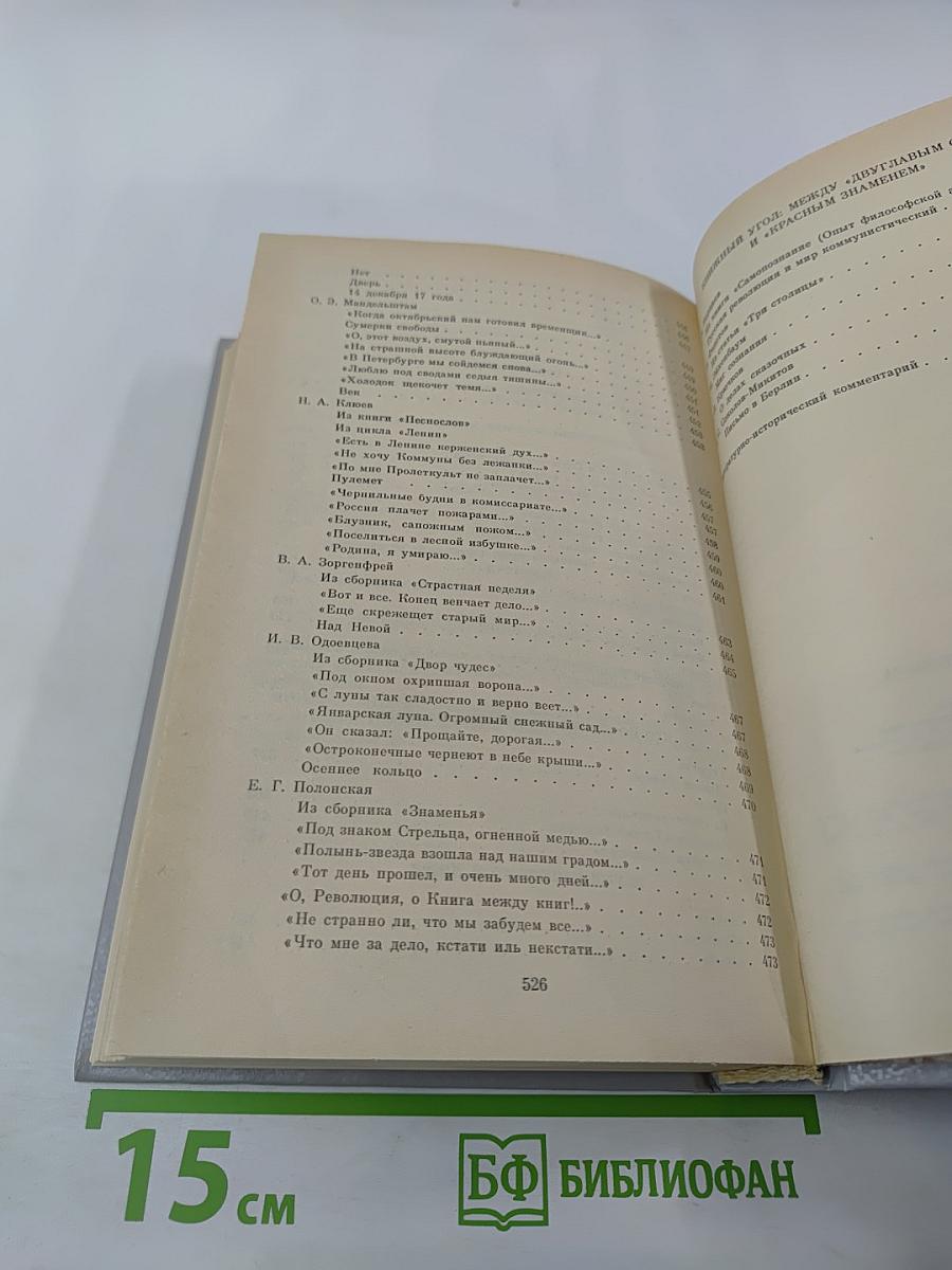 Под созвездием Топора. Петроград 1917 года – знакомый и незнакомый