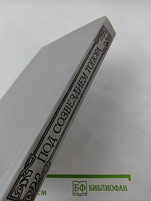 Под созвездием Топора. Петроград 1917 года – знакомый и незнакомый