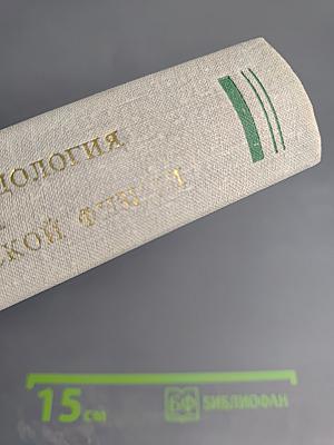 История и методология термодинамики и статистической физики