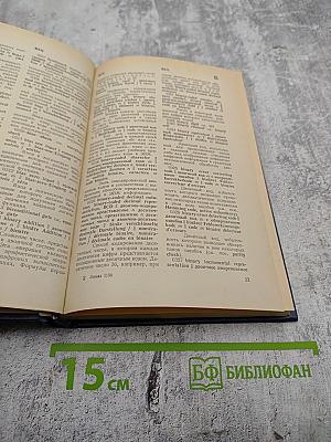 Англо-русско-немецко-французский толковый словарь по вычислительной технике и обработке данных