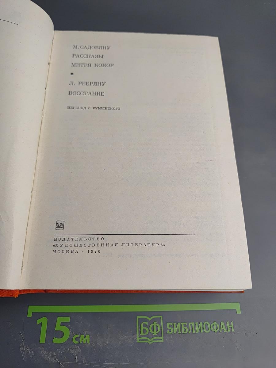 Рассказы, Митря Кокор. Восстание