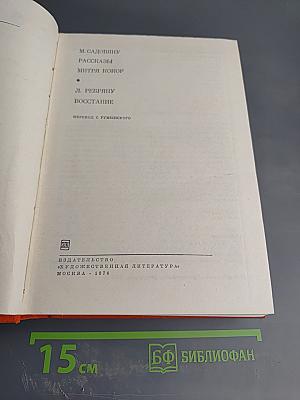 Рассказы, Митря Кокор. Восстание