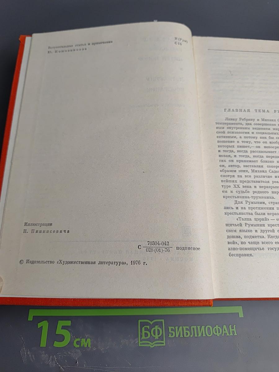 Рассказы, Митря Кокор. Восстание